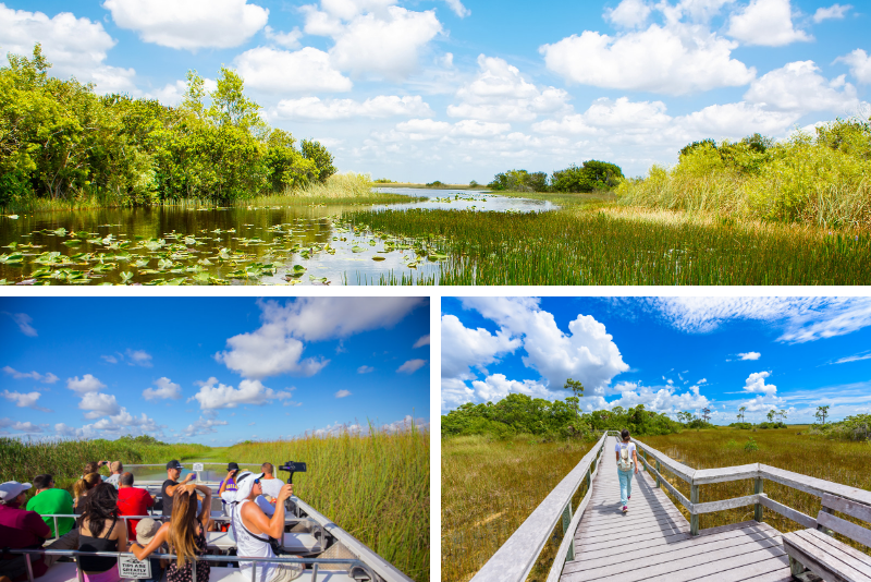 Top 20 Everglades Airboat Tours: Best from Miami, Orlando, Fort Lauderdale & Fort Myers