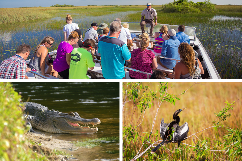 Top 20 Everglades Airboat Tours: Best from Miami, Orlando, Fort Lauderdale & Fort Myers