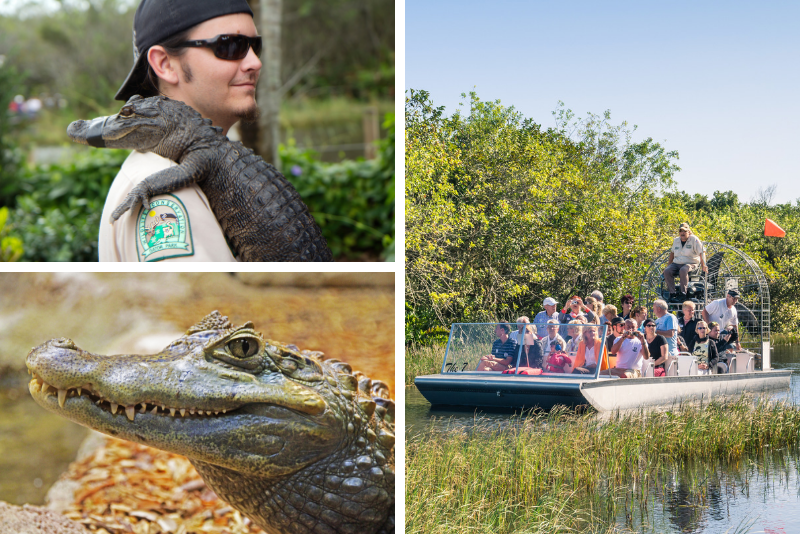 Top 20 Everglades Airboat Tours: Best from Miami, Orlando, Fort Lauderdale & Fort Myers