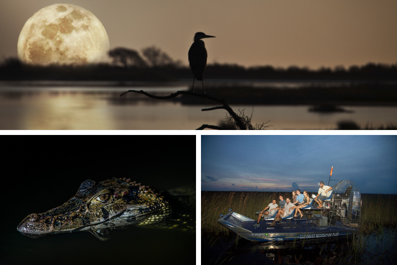 Top 20 Everglades Airboat Tours: Best from Miami, Orlando, Fort Lauderdale & Fort Myers
