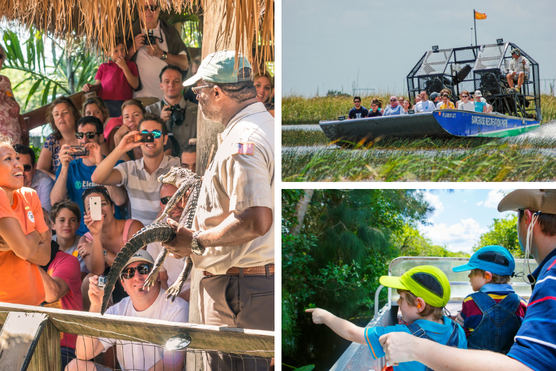 Top 20 Everglades Airboat Tours: Best from Miami, Orlando, Fort Lauderdale & Fort Myers