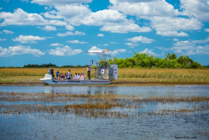 Top 20 Everglades Airboat Tours: Best from Miami, Orlando, Fort Lauderdale & Fort Myers