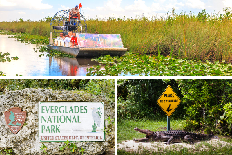 Top 20 Everglades Airboat Tours: Best from Miami, Orlando, Fort Lauderdale & Fort Myers