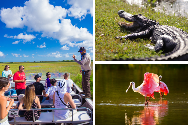 Top 20 Everglades Airboat Tours: Best from Miami, Orlando, Fort Lauderdale & Fort Myers