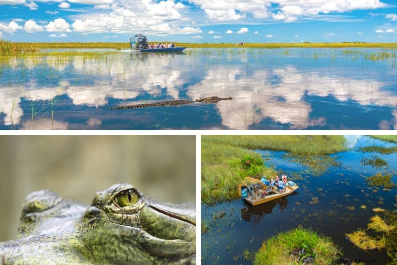 Top 20 Everglades Airboat Tours: Best from Miami, Orlando, Fort Lauderdale & Fort Myers