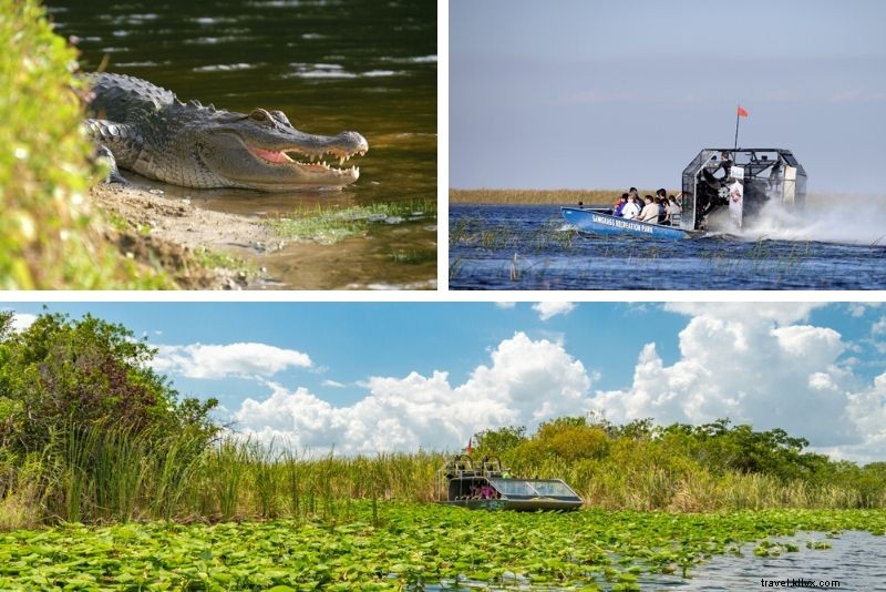 Top 20 Everglades Airboat Tours: Best from Miami, Orlando, Fort Lauderdale & Fort Myers