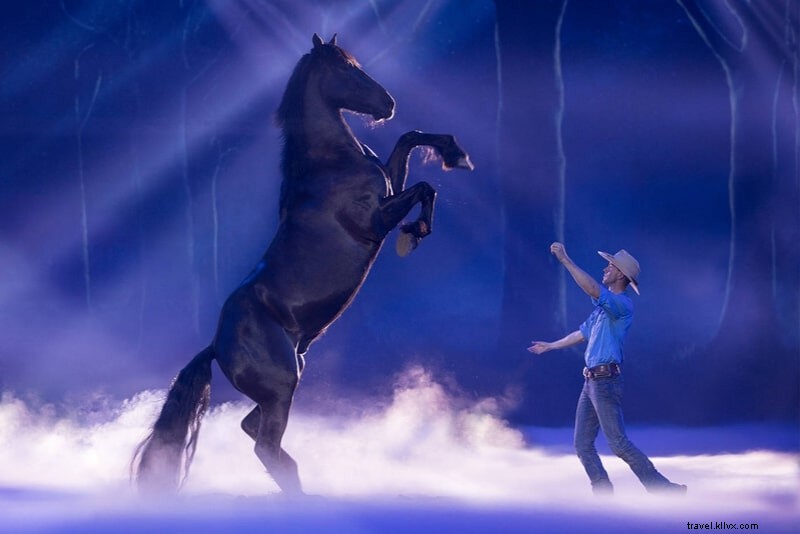 Top 22 Gold Coast Theme Parks: Ultimate Thrills, Rides & Family Adventures