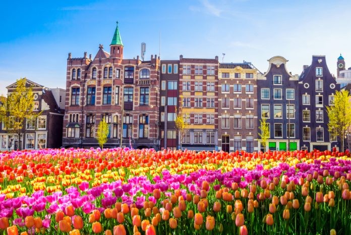 Top 28 Day Trips from Amsterdam: Zaanse Schans, Keukenhof & More