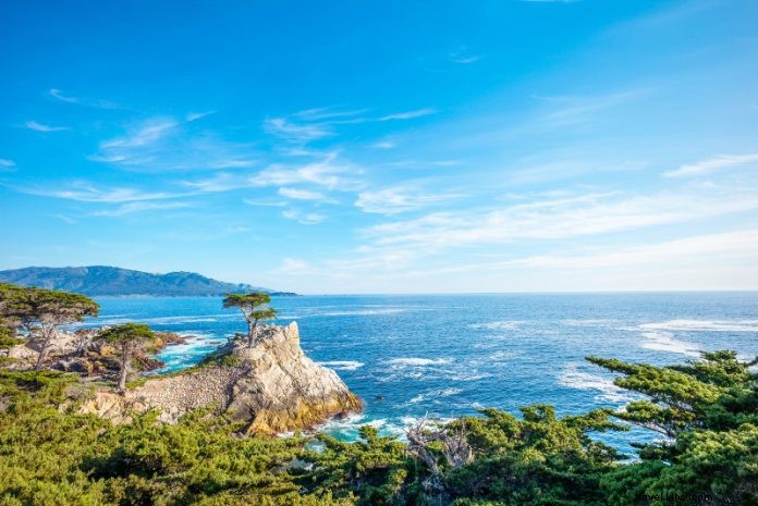 Top 32 Day Trips from San Francisco: Ultimate Guide to Nearby Escapes