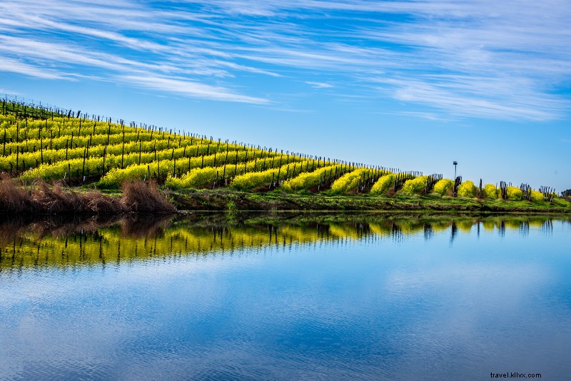 Top 32 Day Trips from San Francisco: Ultimate Guide to Nearby Escapes