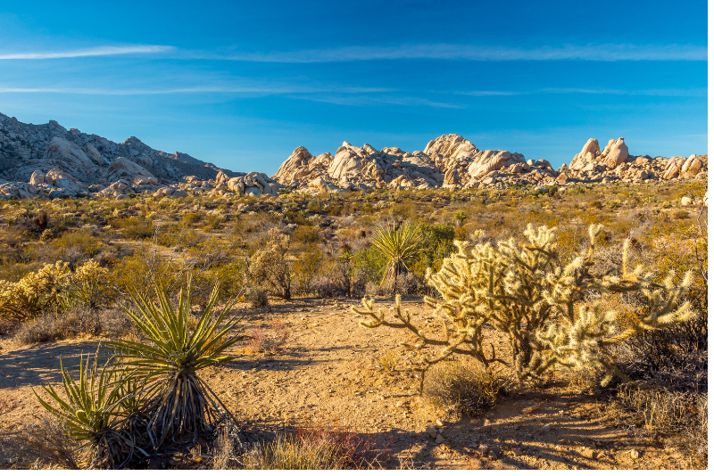 Top 30 Day Trips from Las Vegas: Ultimate Guide with Interactive Map