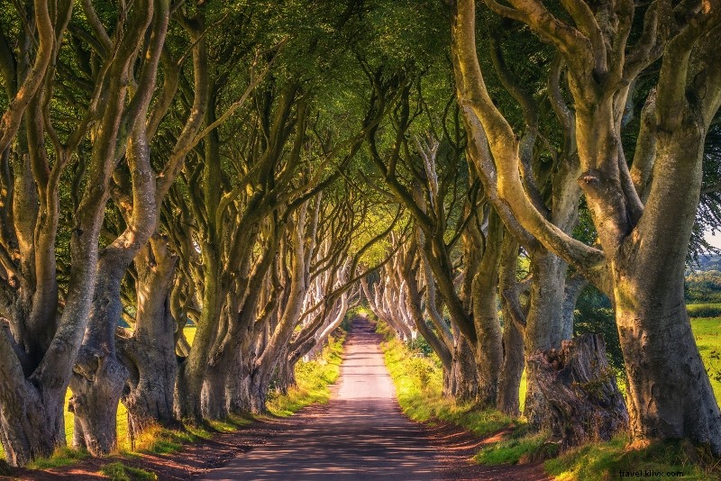 22 Best Day Trips from Dublin: Ultimate Escapes from the City