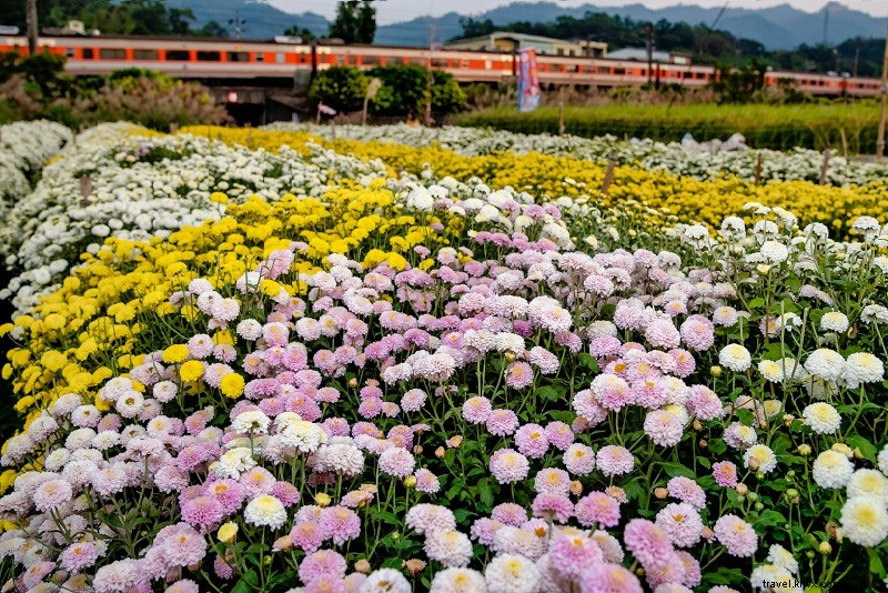 23 Best Day Trips from Taipei: Pingxi, Taroko Gorge & More