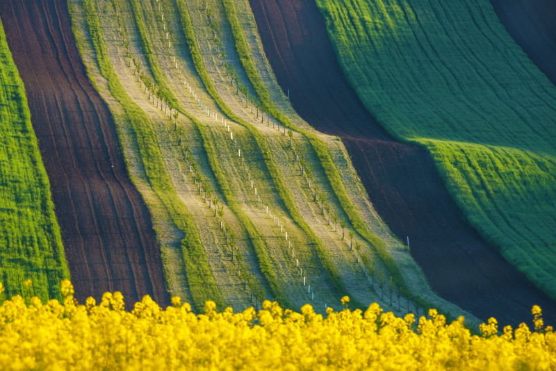 Top 32 Day Trips from Prague: Castles, Historic Towns & Natural Parks