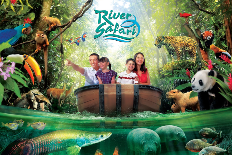 Top 21 Theme Parks in Singapore: Thrilling Rides, Water Parks & Family Fun