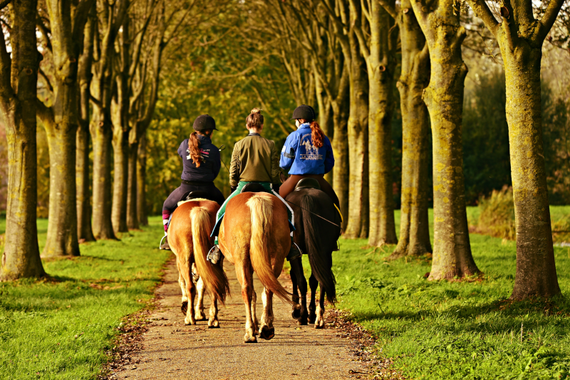 Top 24 Day Trips from Sydney: Stunning Spots with Maps & Tips