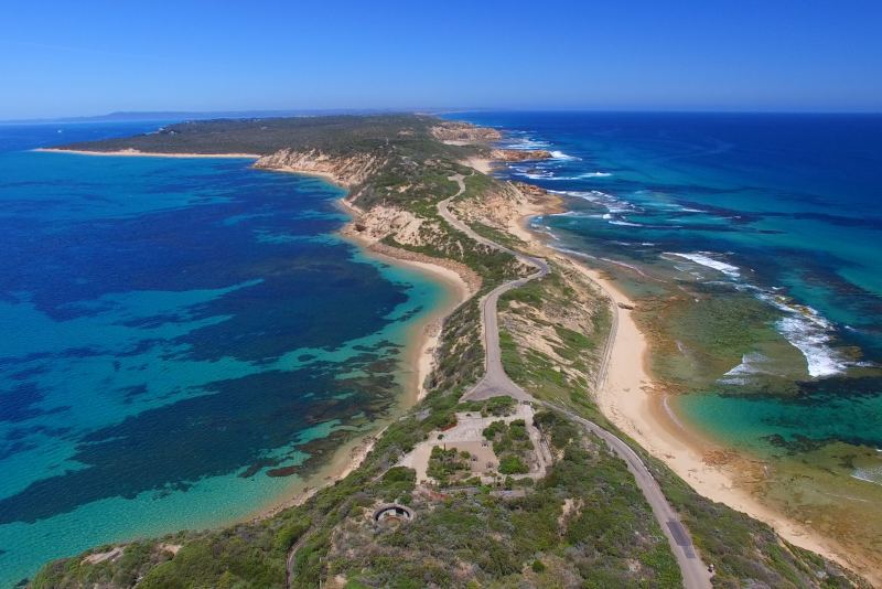 Top 28 Day Trips from Melbourne: Phillip Island, Yarra Valley & Beyond