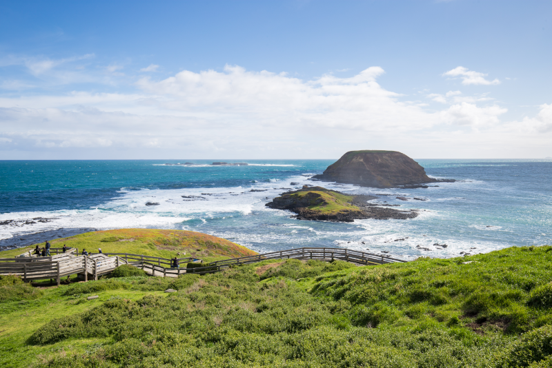Top 28 Day Trips from Melbourne: Phillip Island, Yarra Valley & Beyond