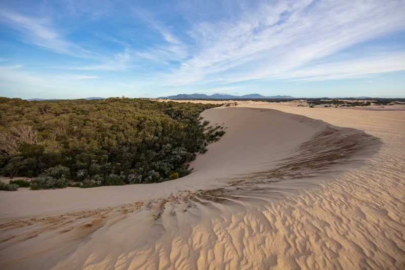 Top 28 Day Trips from Melbourne: Phillip Island, Yarra Valley & Beyond