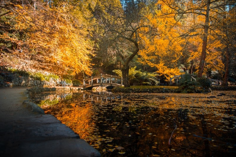 Top 28 Day Trips from Melbourne: Phillip Island, Yarra Valley & Beyond