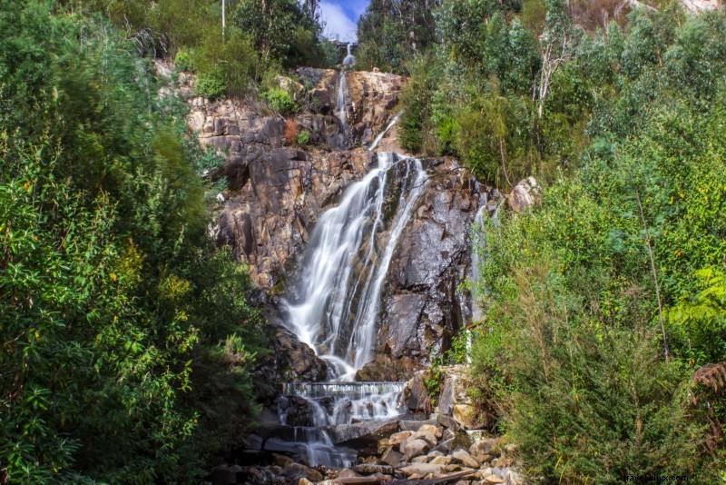 Top 28 Day Trips from Melbourne: Phillip Island, Yarra Valley & Beyond