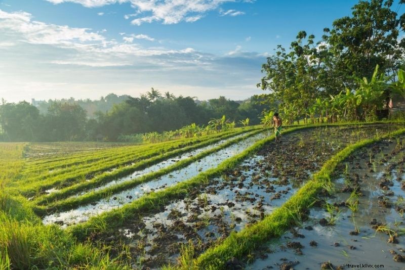 61 Must-Visit Places in Bali for First-Time Visitors: Ultimate Guide