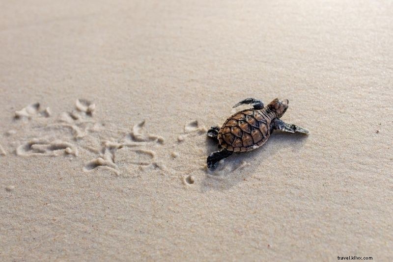 61 Must-Visit Places in Bali for First-Time Visitors: Ultimate Guide