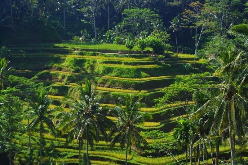 61 Must-Visit Places in Bali for First-Time Visitors: Ultimate Guide