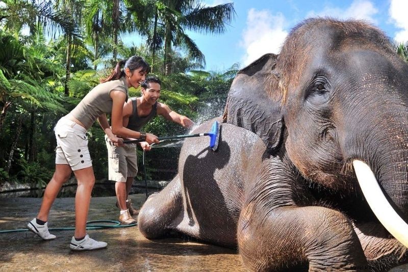 61 Must-Visit Places in Bali for First-Time Visitors: Ultimate Guide