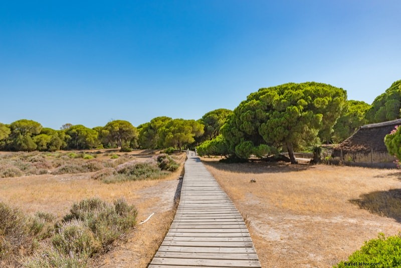 Top 24 Day Trips from Seville: Stunning Beaches, Majestic Palaces & Breathtaking Nature