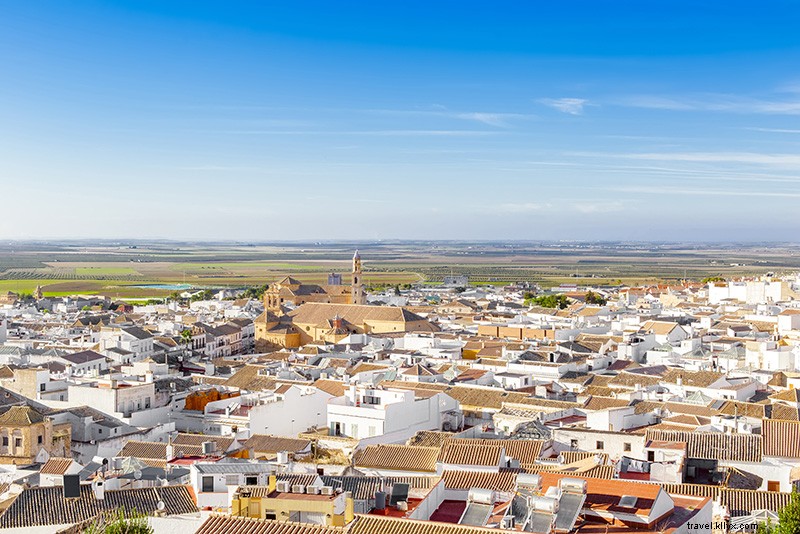 Top 24 Day Trips from Seville: Stunning Beaches, Majestic Palaces & Breathtaking Nature