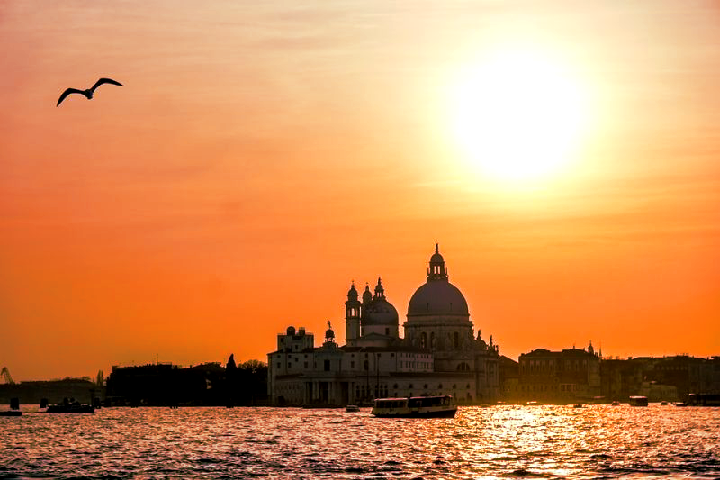Best Venice Boat Tours: How to Choose the Perfect One