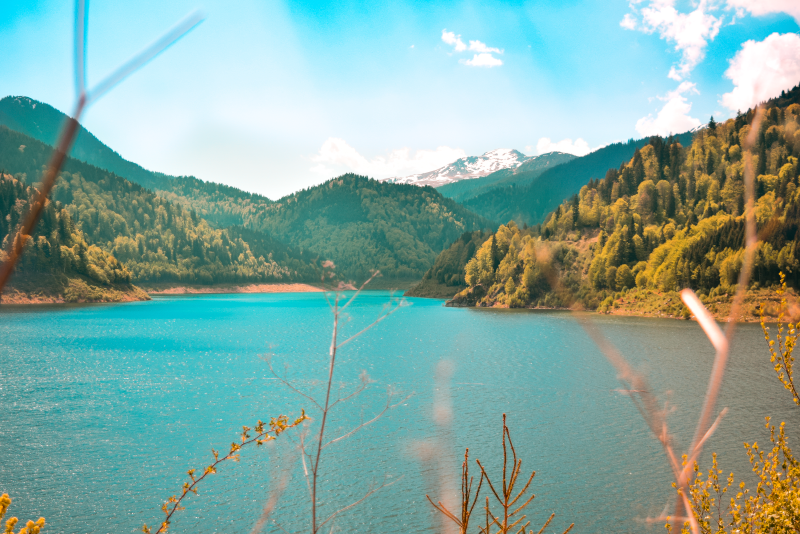 39 Best Day Trips from London: Majestic Castles, Charming Seaside Towns & Thrilling Theme Parks