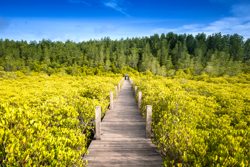 19 Best Day Trips from Bangkok: Temples, Markets & Beaches Await