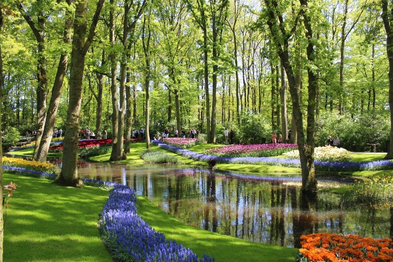 Keukenhof Tulip Garden Ticket Prices: Complete Guide & Booking Tips
