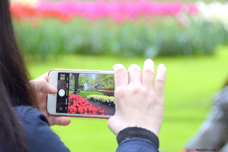 Keukenhof Tulip Garden Ticket Prices: Complete Guide & Booking Tips