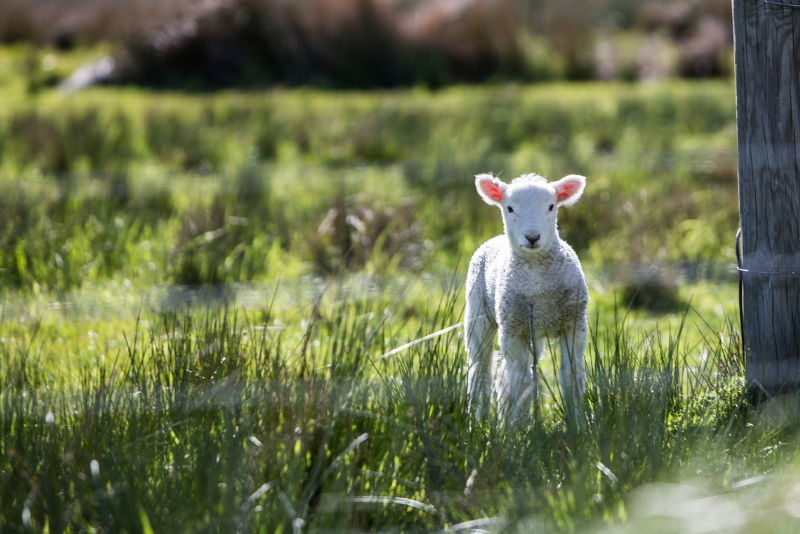 29 Best Day Trips from New York City: Niagara Falls, Washington DC & More