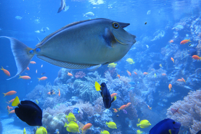 29 Best Day Trips from New York City: Niagara Falls, Washington DC & More