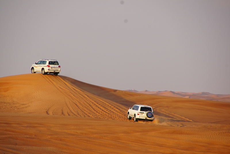 Top 7 Best Desert Safaris in Doha: Unforgettable Adventures Await