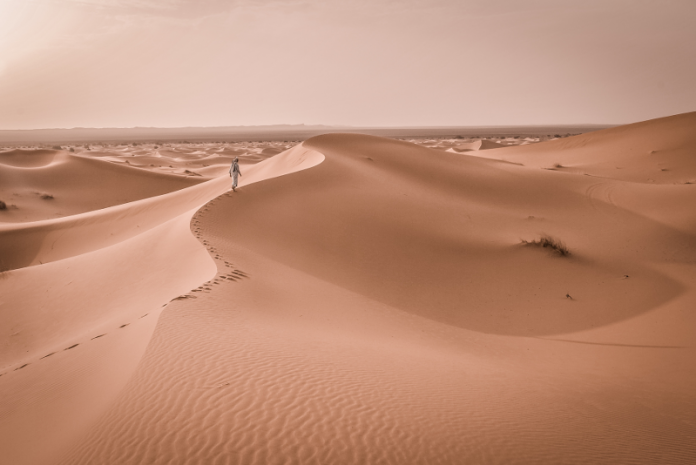 Top 7 Best Desert Safaris in Doha: Unforgettable Adventures Await