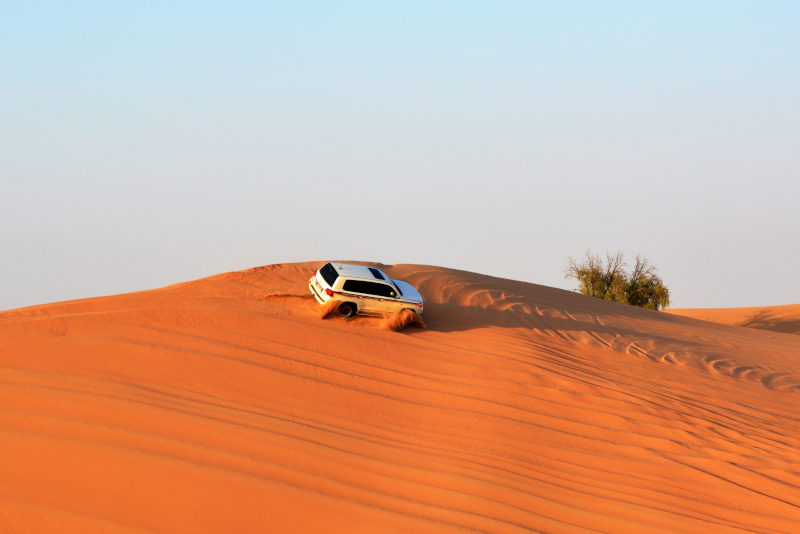 Top 7 Best Desert Safaris in Doha: Unforgettable Adventures Await