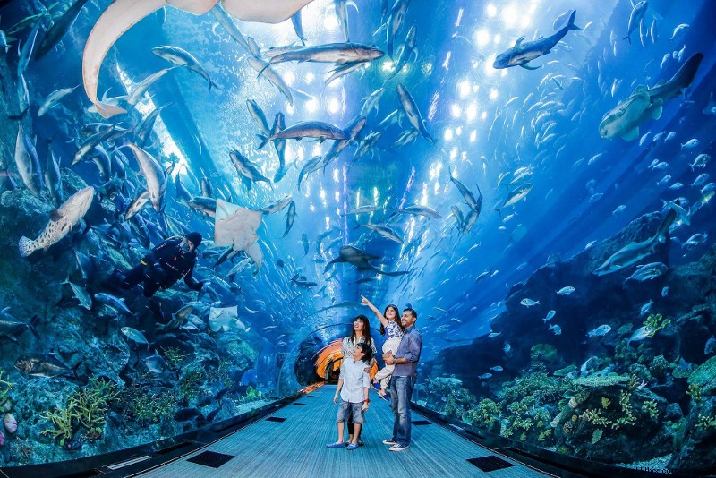 Discover the 23 Best Theme Parks in Dubai: Ultimate Family & Thrill Guide