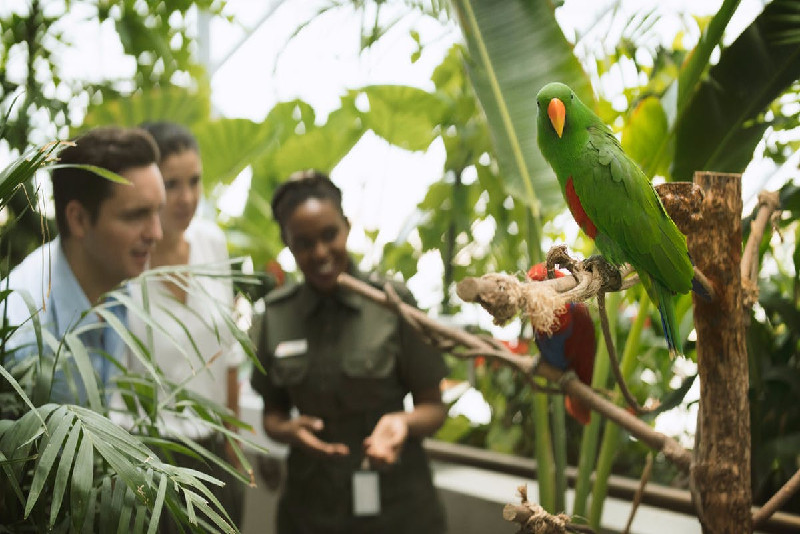 Discover the 23 Best Theme Parks in Dubai: Ultimate Family & Thrill Guide