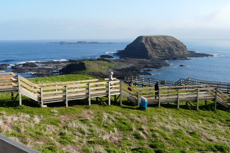 Phillip Island Tours: 12 Must-Do Attractions & Experiences