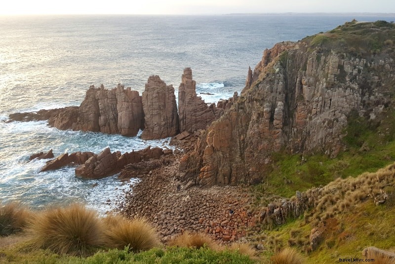 Phillip Island Tours: 12 Must-Do Attractions & Experiences