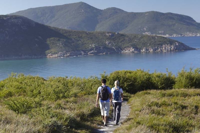 Phillip Island Tours: 12 Must-Do Attractions & Experiences