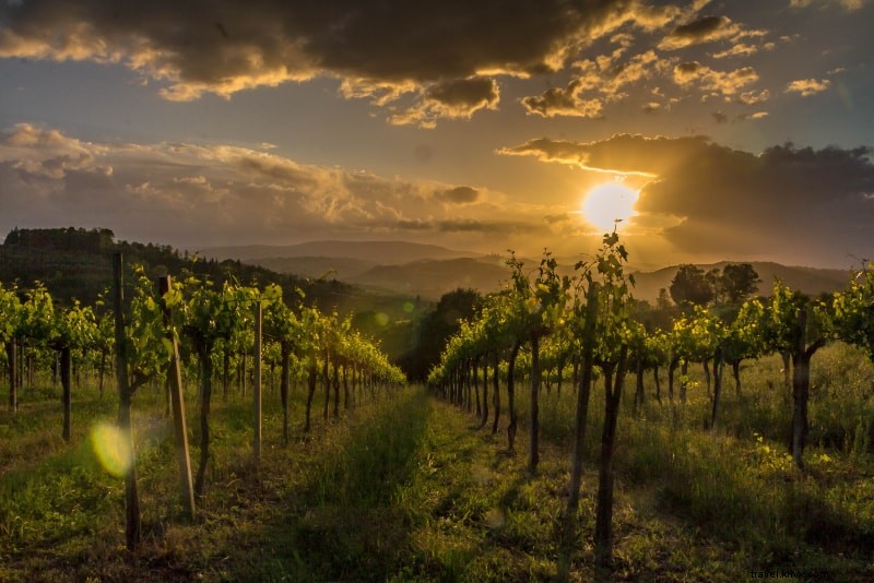 12 Best Tuscany Wine Tours from Florence, Siena, Rome & More