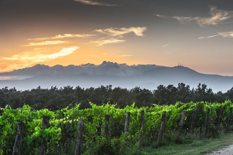 12 Best Tuscany Wine Tours from Florence, Siena, Rome & More