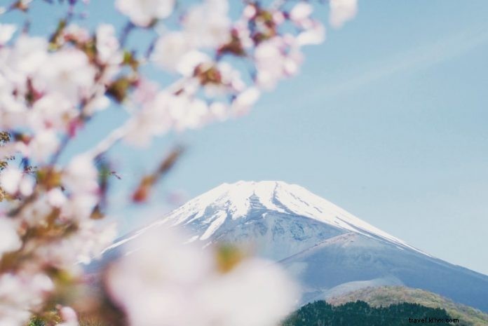 Best Mount Fuji Tours from Tokyo: Complete Guide for 2024