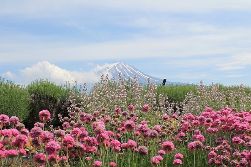 Best Mount Fuji Tours from Tokyo: Complete Guide for 2024